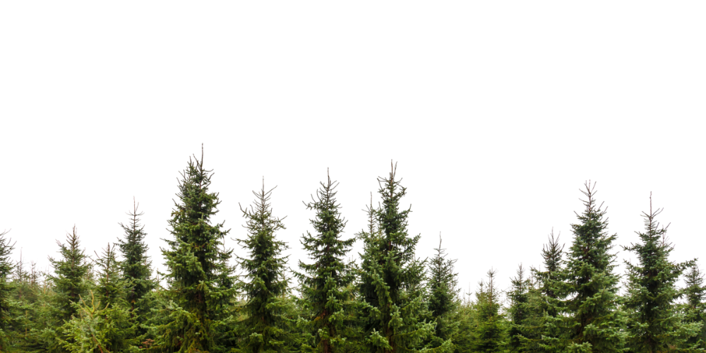 Mountain background