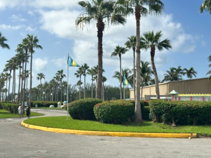 Palm-lined resort pathway on a sunny day